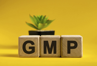 Zertifikatsprogramm Modul 1: Pharma GMP Specialist, Seminar 2: GMP Basis