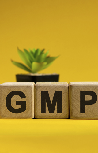 Zertifikatsprogramm Modul 1: Pharma GMP Specialist, Seminar 2: GMP Basis